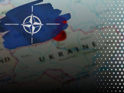 Україна також може вступити до НАТО без ПДЧ – глава посольства США - bykvu.com - США - Украина - Україна - Twitter