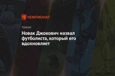 Джокович Новак - Златан Ибрагимович - Новак Джокович назвал футболиста, который его вдохновляет - championat.com - Швеция - Сербия