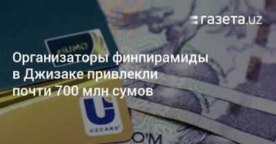 Организаторы финпирамиды в Джизаке привлекли почти 700 млн сумов - gazeta.uz - Узбекистан