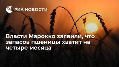 Власти Марокко заявили, что запасов пшеницы в стране хватит на четыре месяца - smartmoney.one - Украина - Индия - Марокко