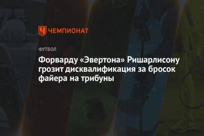 Кевин Френд - Форварду «Эвертона» Ришарлисону грозит дисквалификация за бросок файера на трибуны - championat.com - Англия