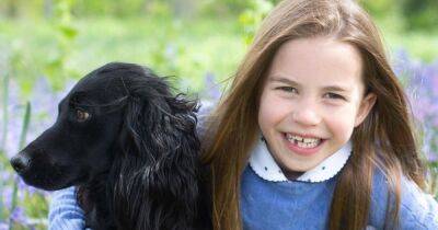 принц Уильям - принц Чарльз - Кейт Миддлтон - принц Луи - принцесса Шарлотта - Принцессе Шарлотте исполнилось 7. Кейт Миддлтон представила фото дочери - focus.ua - Украина - Англия