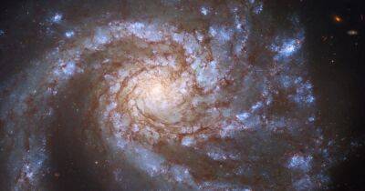 Телескоп Хаббл сделал изображение "очень правильной" галактики: в чем ее особенность - focus.ua - Украина
