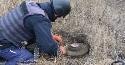 За время полномасштабной войны в Украине обезврежено 89 тыс. взрывоопасных предметов - dsnews.ua - Россия - Украина - Харьковская обл.