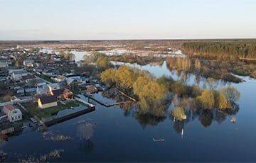 Из-за паводка глубина затоплений в Гомельской области превышает 2 метра, и это не предел - charter97.org - Россия - Украина - Белоруссия - Гомель - Добруш