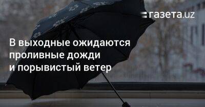 В выходные ожидаются проливные дожди и порывистый ветер - gazeta.uz - Узбекистан - Навоийской обл.