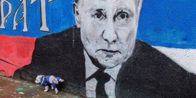 Владимир Путин - Кирилл Буданов - Путин в тупике, он не может остановить войну и не может ее выиграть — начальник ГУР Буданов - nv.ua - Россия - Украина - Сербия