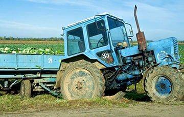 В Беларуси резко снизилось производство сельхозпродукции - charter97.org - Украина - Белоруссия - Польша