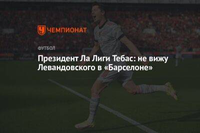 Роберт Левандовски - Хавьер Тебас - Президент Ла Лиги Тебас: не вижу Левандовского в «Барселоне» - championat.com - Италия