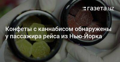 Конфеты с каннабисом обнаружены у пассажира рейса из Нью-Йорка - gazeta.uz - Узбекистан - Нью-Йорк - Нью-Йорк - Ташкент