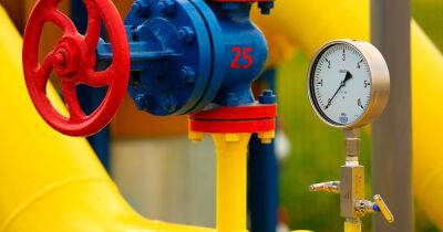 Газовые войны: РФ останавливает поставки газа в Финляндию, а немцы и итальянцы готовы платить в рублях - dsnews.ua - Россия - Украина - Италия - Германия - Эстония - Польша - Финляндия - Болгария