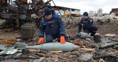 Мэри Акопян - Украине понадобится минимум 5 лет для полного разминирования территории, — МВД - focus.ua - Россия - Украина - Киевская обл. - Сумская обл. - Черниговская обл.