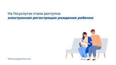 На Госуслугах можно зарегистрировать рождение ребенка в электронном виде - iskra-kungur.ru - Россия - Пермь - респ. Саха - Пермь