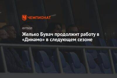 Лев Яшин - Желько Бувач - Желько Бувач продолжит работу в «Динамо» в следующем сезоне - championat.com - Москва - Сочи