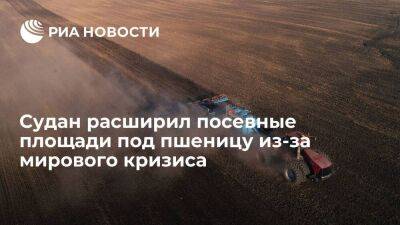 Судан - Министр Судана Усман: страна расширила посевные площади под пшеницу из-за мирового кризиса - smartmoney.one - Москва - Россия - Украина - Судан - г. Хартум - Москва