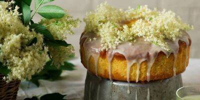 Готовим по-украински. 5 простых десертов с майскими цветами от харьковской фуд-блогерки - nv.ua - Украина