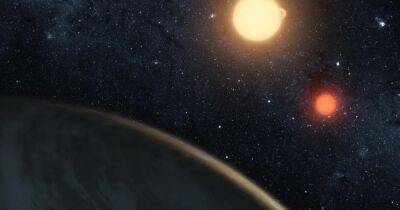 Под двумя солнцами. Ученые выяснили, на каких планетах следует искать внеземную жизнь - focus.ua - Украина - Дания - Копенгаген