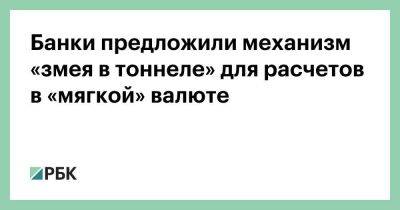 Банки предложили механизм «змея в тоннеле» для расчетов в «мягкой» валюте - smartmoney.one