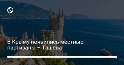 В Крыму появились местные партизаны – Ташева - liga.net - Украина - Крым - Евпатория