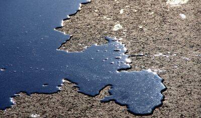 На Камчатке нашли загрязнение почвы нефтепродуктами - nashgorod.ru - Камчатский край