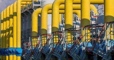 Кадри Симсон - Еврокомиссия разрабатывает план на случай полной остановки поставок газа из России - dsnews.ua - Россия - Украина - Польша - Финляндия - Болгария