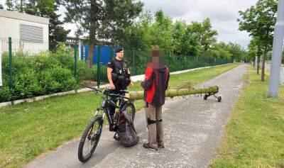 Житель Чехии вез на велосипеде украденное бревно - vinegret.cz - Чехия - Пльзень