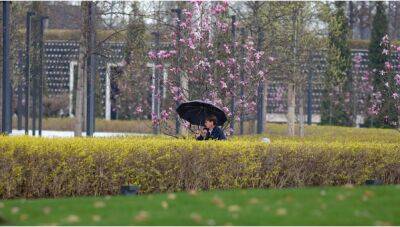 Дождь, град и ветер: погода в Таджикистане - dialog.tj - Душанбе - Таджикистан - Хатлонской обл.