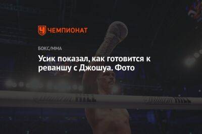 Александр Усик - Энтони Джошуа - Усик показал, как готовится к реваншу с Джошуа. Фото - championat.com - Англия