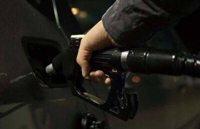 Специалисты нашли замену бензину в условиях энергетического кризиса - lenta.ua - Украина - Киев - Бразилия