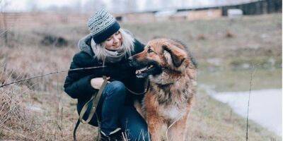 Нужно время. Как помочь животному из приюта или из зоны боевых действий адаптироваться к новому дому - nv.ua - Россия - Украина