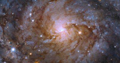 Галактические прятки. Телескоп Хаббл отыскал галактику, спрятавшуюся возле Млечного Пути (фото) - focus.ua - Украина