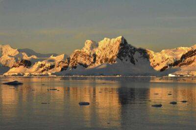 Антарктида - Ученые обнаружили в Антарктиде бактерии со сверхспособностями - lenta.ua - Украина - Антарктида - Чили
