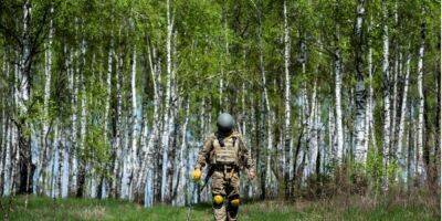 Успешно отбили 11 атак. Украинские защитники сбили два самолета и уничтожили пять танков оккупантов на Донбассе — штаб ООС - nv.ua - Россия - Украина - Донбасс