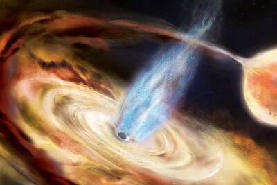 Карине Сергеевна Полянская - NASA показало захватывающую визуализацию 22 самых необычных черных дыр нашей галактики - itc.ua - Украина