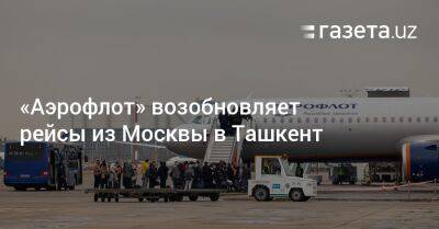 «Аэрофлот» возобновляет рейсы из Москвы в Ташкент - gazeta.uz - Москва - Россия - Сочи - Армения - Казахстан - Узбекистан - Белоруссия - Турция - Киргизия - Иран - Индия - Азербайджан - Ташкент - Шри Ланка