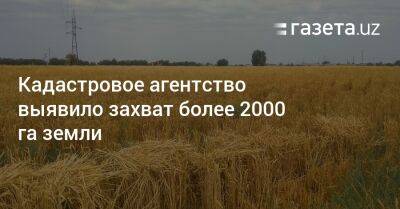 Кадастровое агентство выявило захват более 2000 га земли - gazeta.uz - Узбекистан