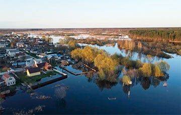 Уровень воды в реках возле Гомеля и Добруша превысил критическую отметку - charter97.org - Белоруссия - Гомель - Добруш