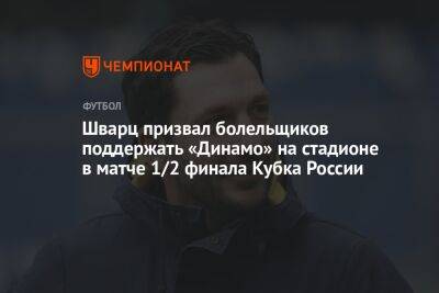 Сандро Шварц - Шварц призвал болельщиков поддержать «Динамо» на стадионе в матче 1/2 финала Кубка России - championat.com - Москва - Россия - респ. Алания