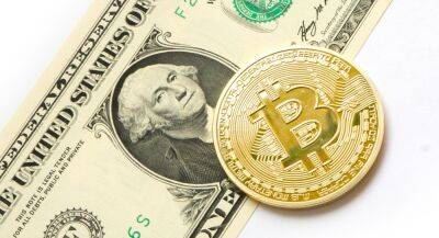 Екатерина Колонович - Bitcoin - За полгода Bitcoin подешевел более чем на 50% от максимума, опустившись до $33,5 тыс. - itc.ua - США - Украина - Запорожская обл.