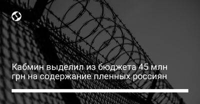 Людмила Денисова - Кабмин выделил из бюджета 45 млн грн на содержание пленных россиян - liga.net - Украина