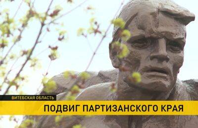 Подвиги белорусских партизан: как армия Вермахта потерпела поражение - ont.by - Белоруссия - Берлин