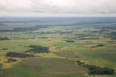 В Амазонии обнаружили потерянную «доиспанскую» цивилизацию - lenta.ua - Украина - Германия