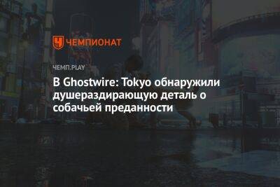В Ghostwire: Tokyo обнаружили душераздирающую деталь о собачьей преданности - championat.com - Токио - Tokyo