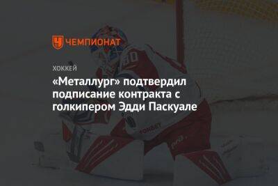 Василий Кошечкин - Эдди Паскуал - «Металлург» подтвердил подписание контракта с голкипером Эдди Паскуале - championat.com