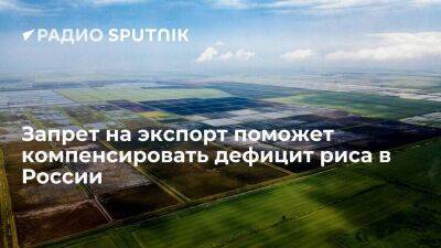 Из-за аварии на гидроузле в Краснодарском крае урожай риса в России снизится - smartmoney.one - Россия - Крым - Краснодарский край - Индия - Запорожье