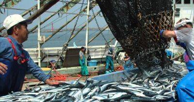 Коити Хагиуда - В ответ на санкции: Россия запретила японским рыбакам лов рыбы у Курильских островов - focus.ua - Москва - Россия - Украина - Токио - Белоруссия - Япония