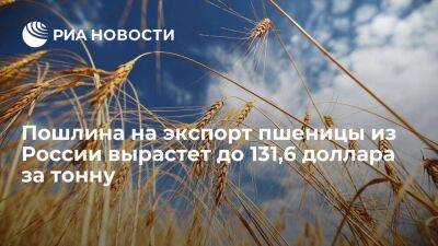 Минсельхоз: пошлина на экспорт пшеницы с 16 июня вырастет до 131,6 доллара за тонну - smartmoney.one - Россия