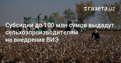 Субсидии до 100 млн сумов выдадут сельхозпроизводителям на внедрение ВИЭ - gazeta.uz - Узбекистан