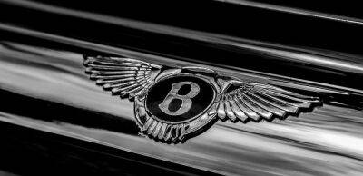 Bentley - Купи Bentley та отримай звільнення у подарунок: Олега Діденка прибрали з «Нафтогазу» - thepage.ua - Украина