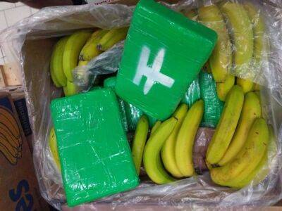 Чешская полиция изъяла полтонны кокаина в партии бананов - unn.com.ua - Украина - Киев - Чехия